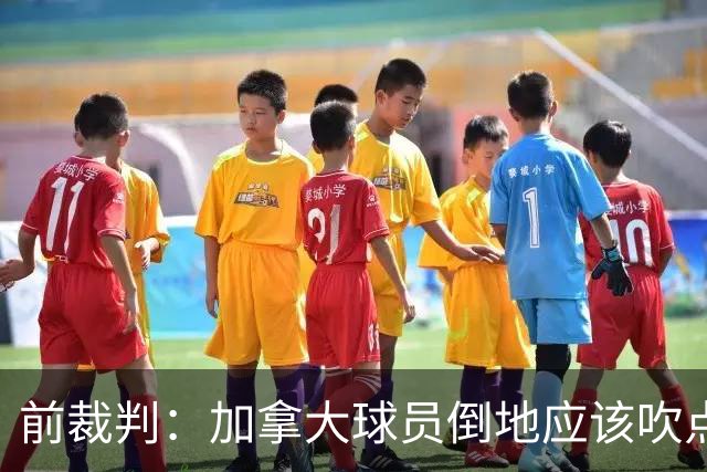 前裁判：加拿大球员倒地应该吹点球，VAR介不介入的标准不统一